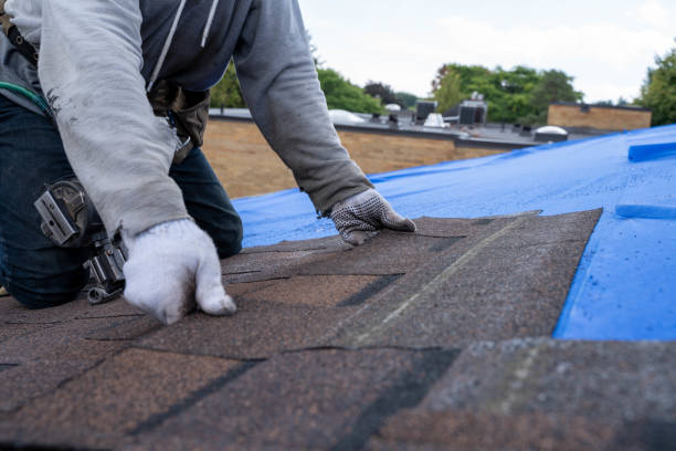 Best New Roof Installation  in Buhler, KS