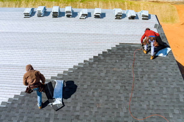 Best Roof Gutter Cleaning  in Buhler, KS