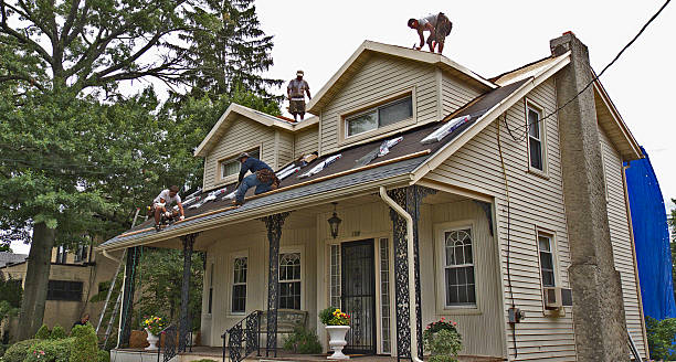 Best Roof Leak Repair  in Buhler, KS