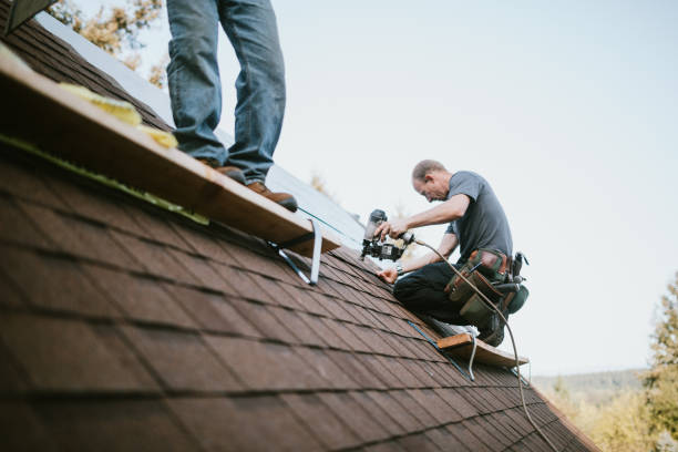 Best Flat Roof Repair Services  in Buhler, KS